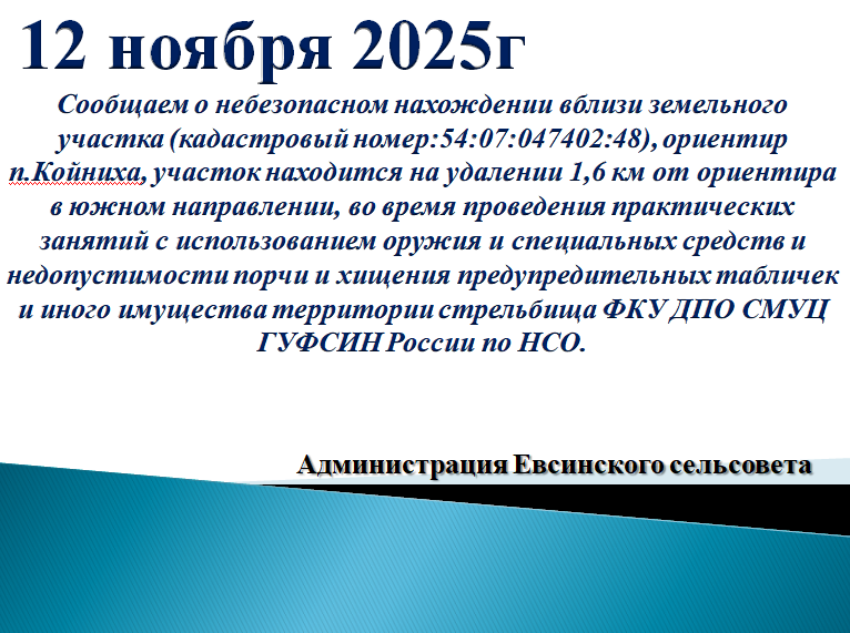 snimok_ekrana_2025-11-10_090651.png
