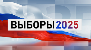 Подача заявления. Выборы Депутатов законодательного собрания Новосибирской области восьмого созыва