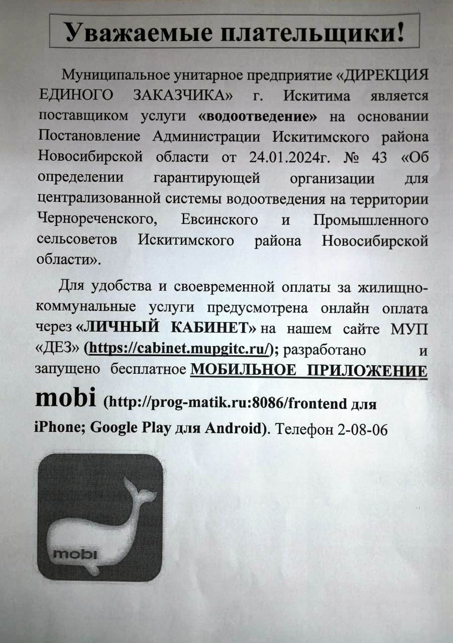 1710994382916.jpg